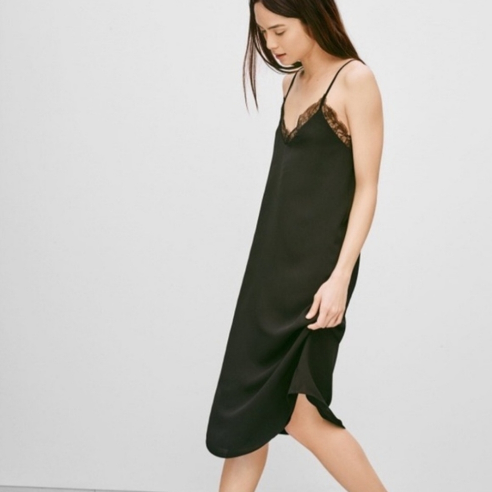 Aritzia Babaton Dress
